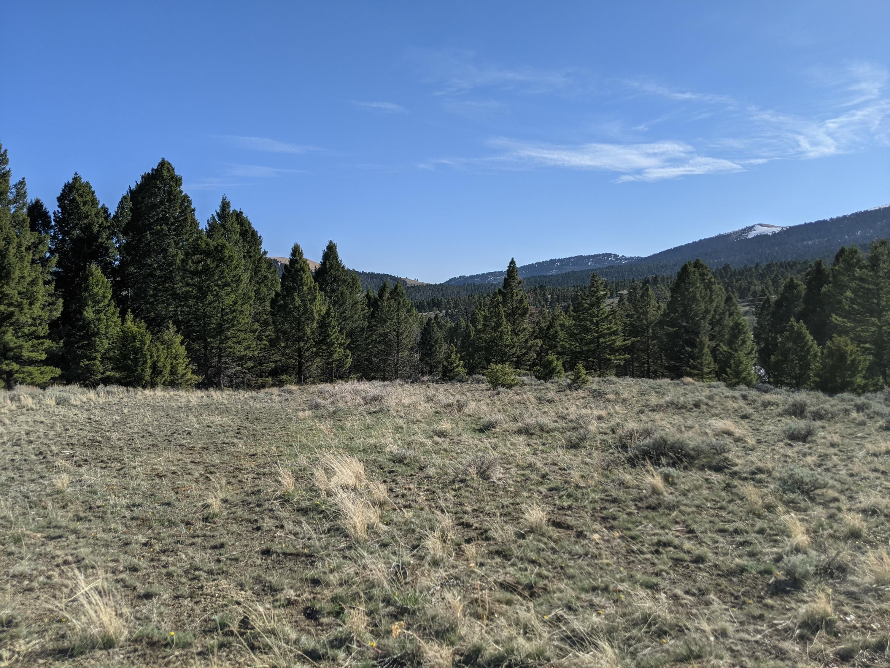 White Sulphur Springs, Meagher County, MT Undeveloped Land for sale