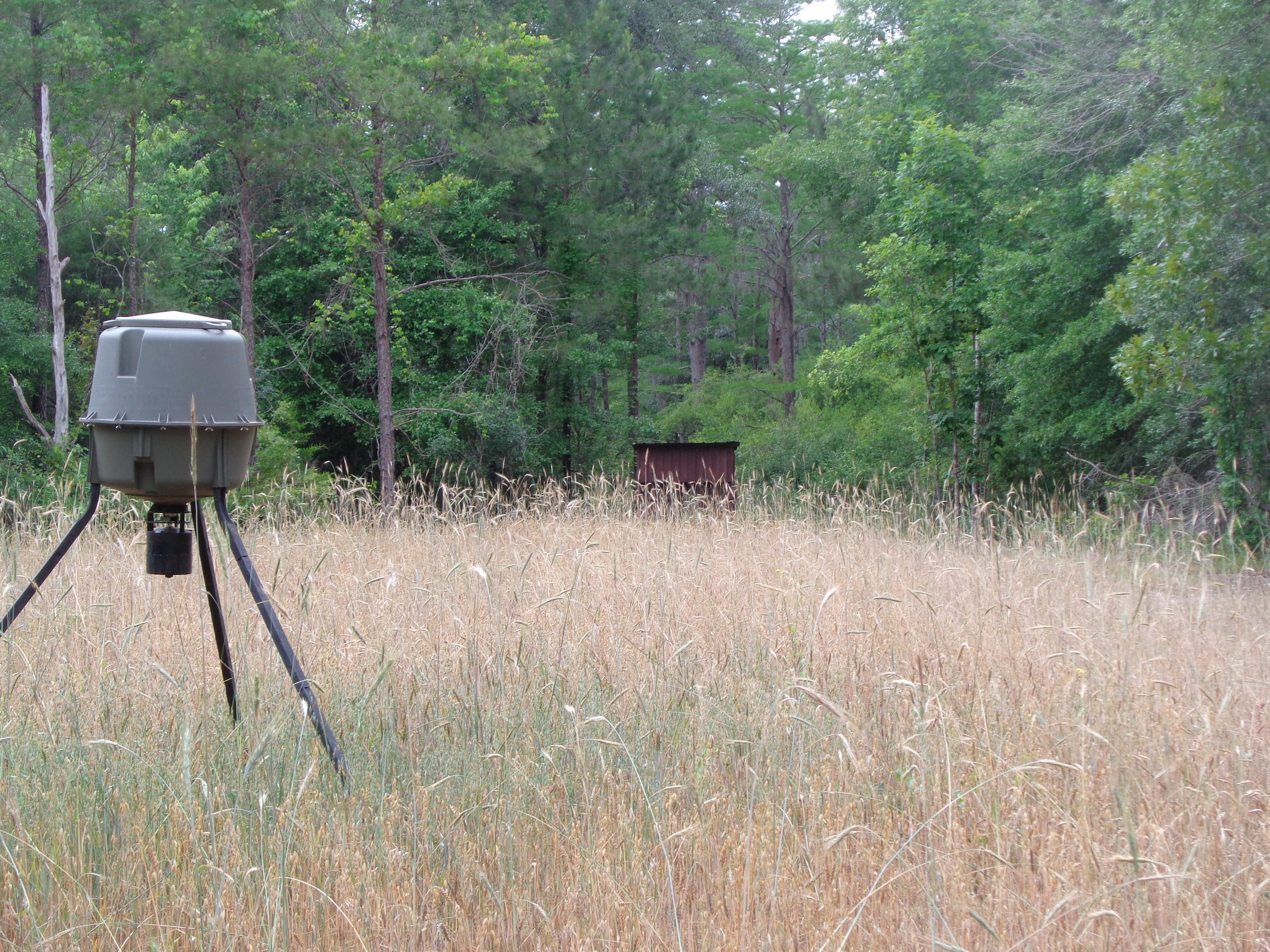 Blakely, Early County, GA Farms and Ranches, Timberland Property, Hunting Property for sale