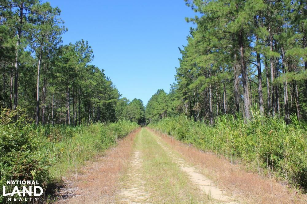 Mcclellanville, Charleston County, SC Recreational Property, Timberland