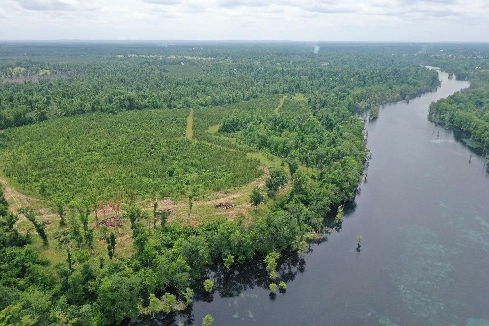 Marianna, Jackson County, FL Farms and Ranches, Timberland Property, Riverfront Property