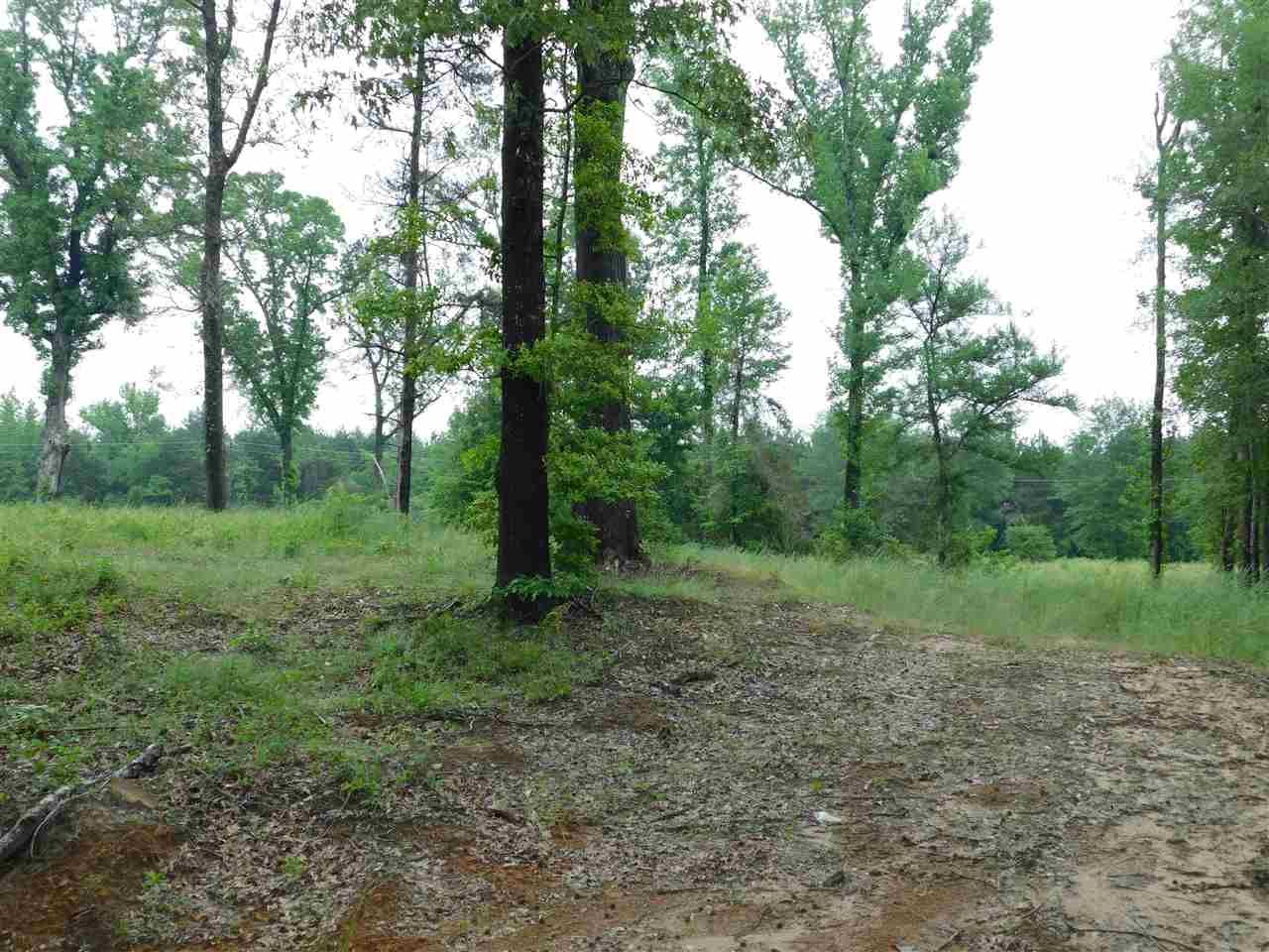 Gilmer, Upshur County, TX Undeveloped Land, Homesites for sale Property