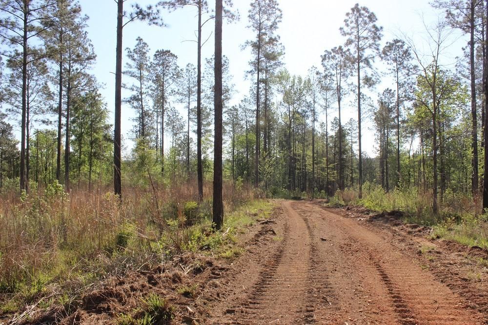 Milledgeville, Baldwin County, GA Recreational Property, Timberland Property, Hunting Property