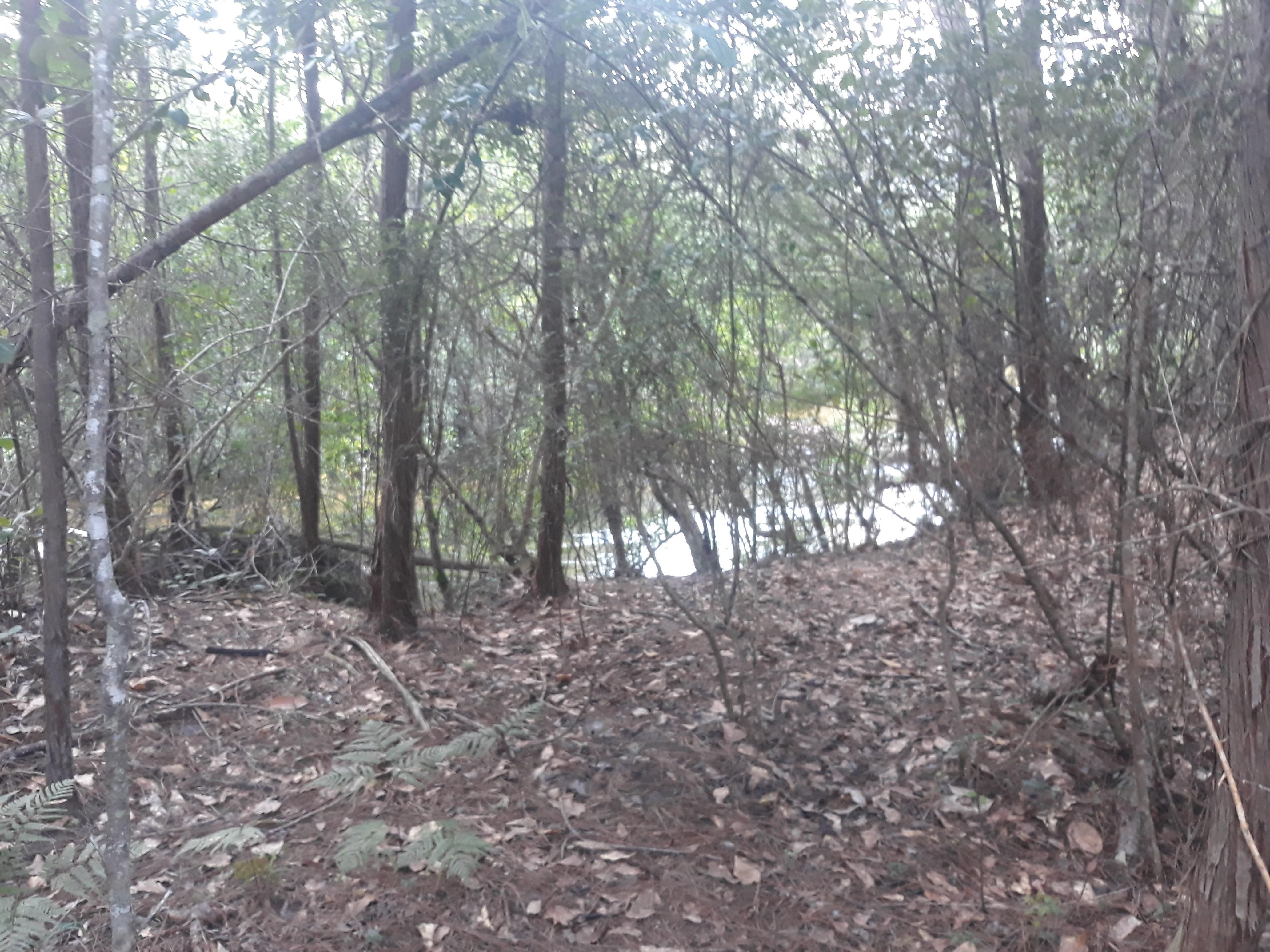 Milton, Santa Rosa County, FL Recreational Property, Timberland