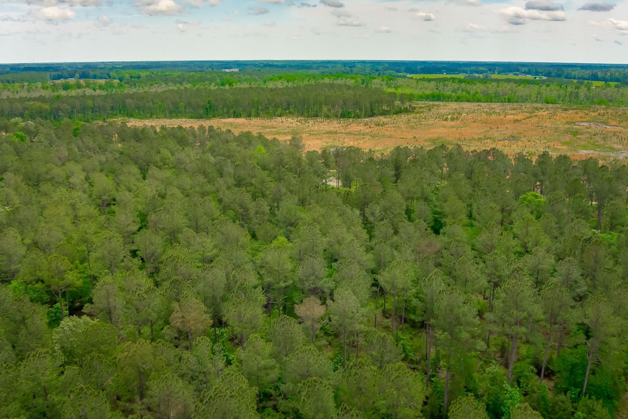 Hendricks ShortCut Road, Conway, SC 29527 LandWatch