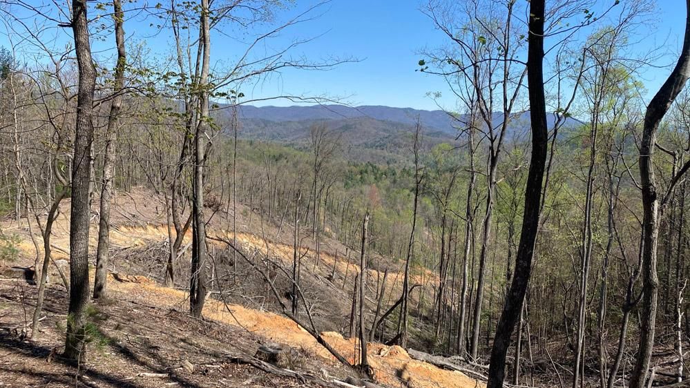 Millers Creek, Wilkes County, NC Recreational Property, Undeveloped