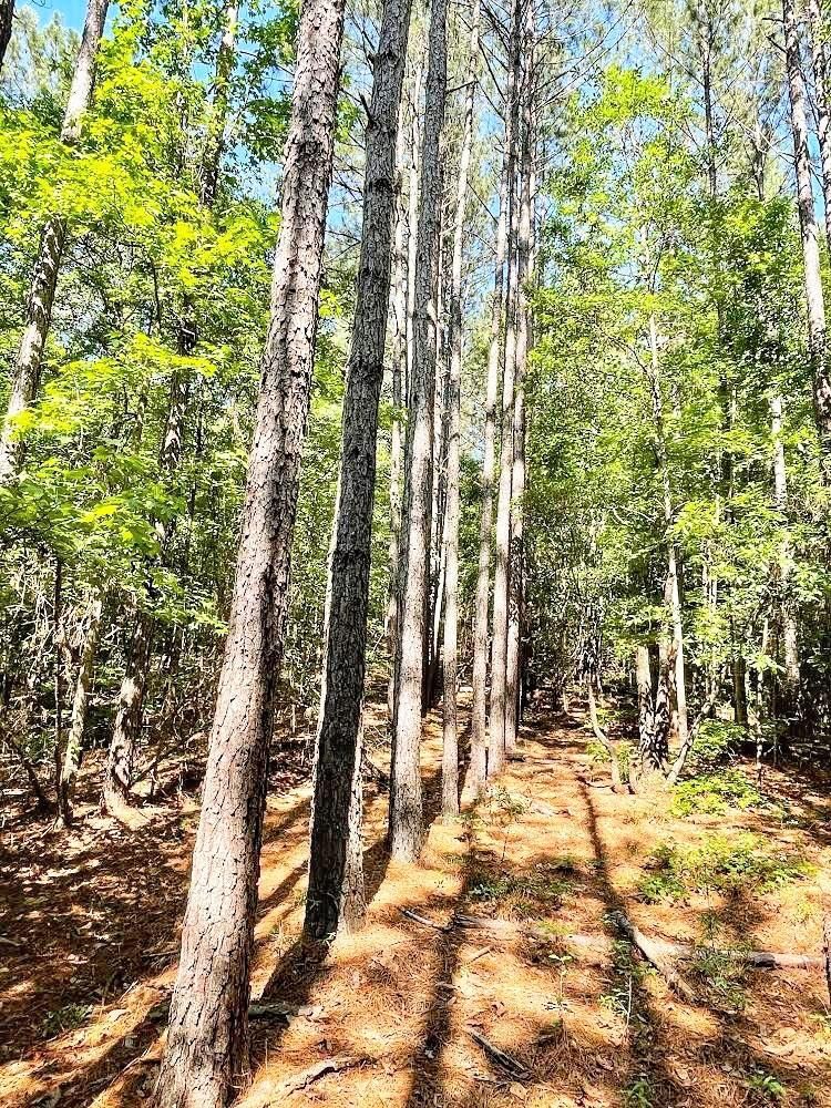 Tennille, Washington County, GA Recreational Property, Undeveloped Land for sale Property ID