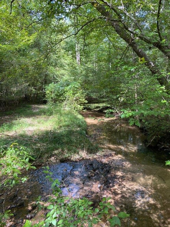 Comer, Madison County, GA Recreational Property, Undeveloped Land