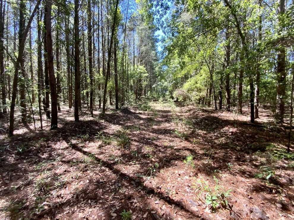 Madison, Madison County, FL Recreational Property, Hunting Property for
