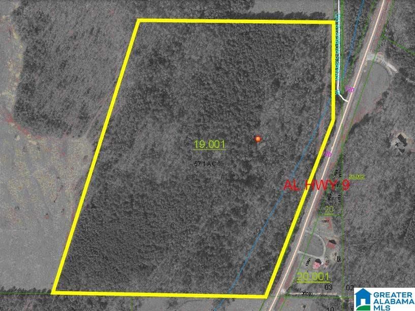 Piedmont, Calhoun County, AL Undeveloped Land for sale Property ID