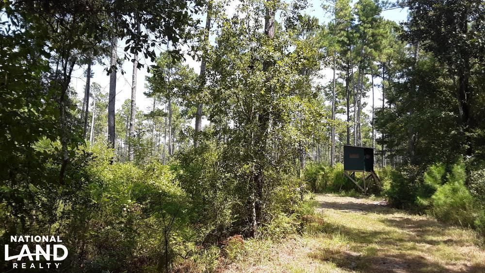 Madison, Madison County, FL Recreational Property, Timberland Property