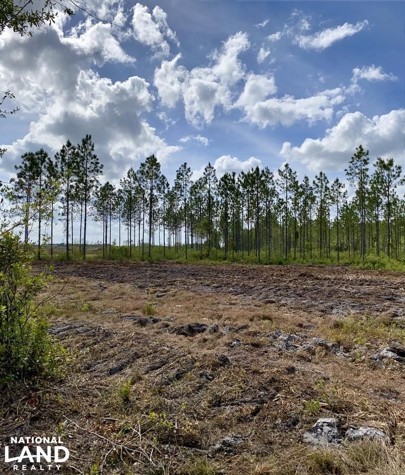 Folkston, Charlton County, GA Recreational Property, Timberland Property for sale Property ID