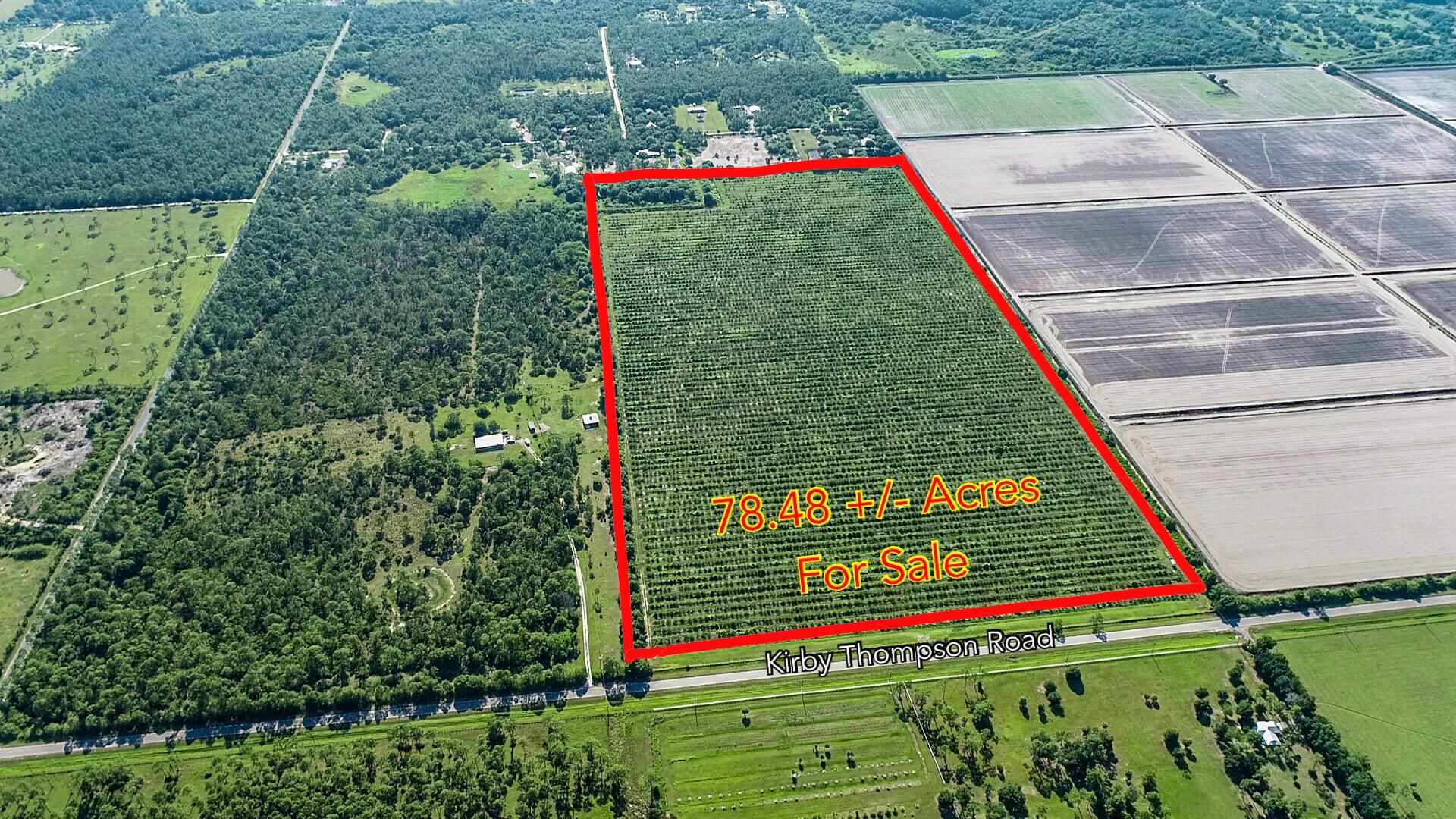 Labelle, Hendry County, FL Commercial Property, Horse Property for sale