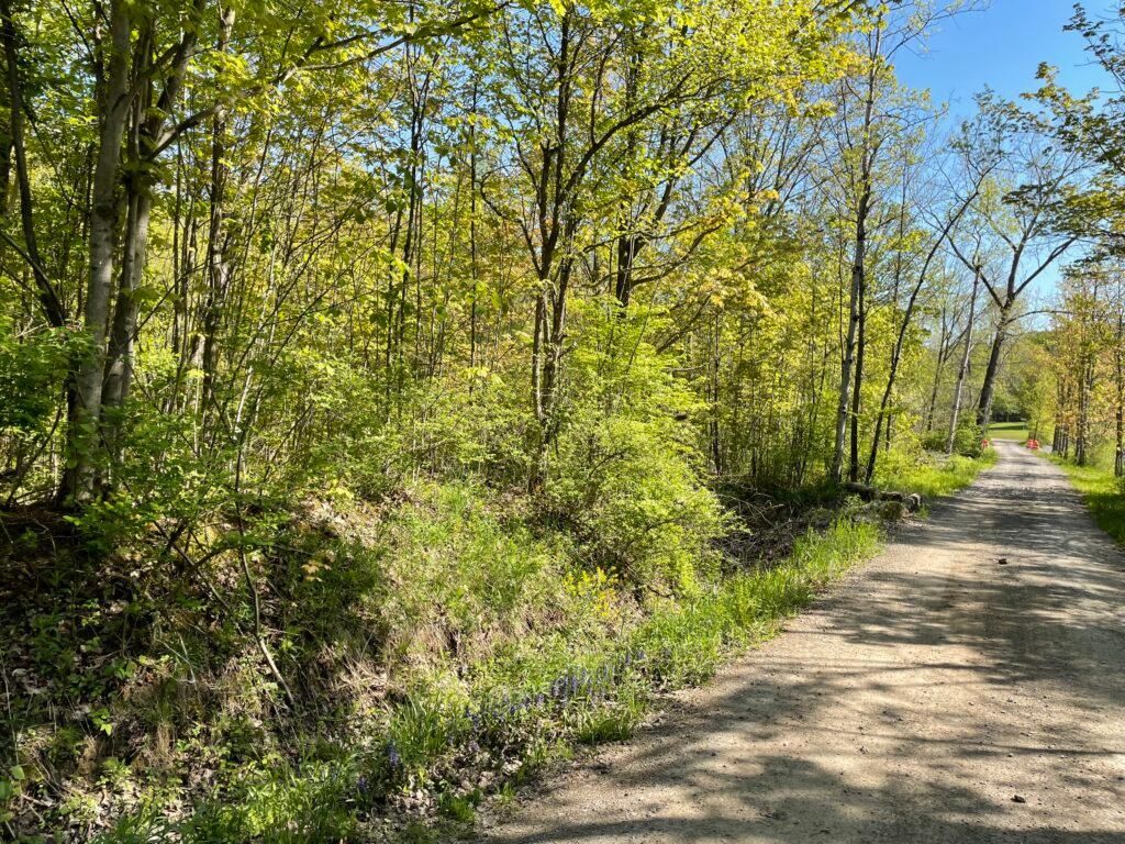 Varysburg, Wyoming County, NY Recreational Property, Homesites for sale