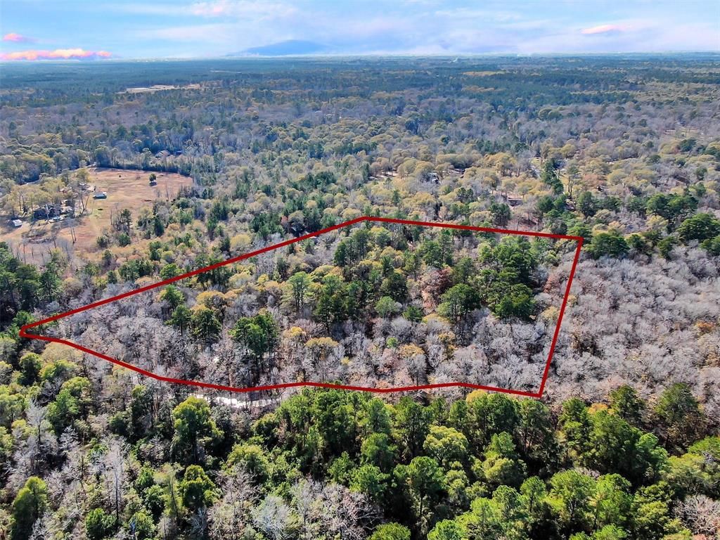 Cleveland, San Jacinto County, TX Undeveloped Land for sale Property ID