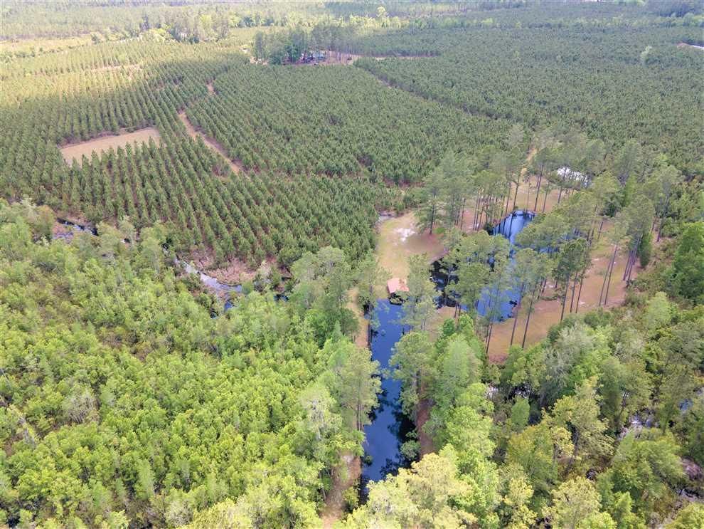 Fargo, Clinch County, GA Recreational Property, Timberland Property