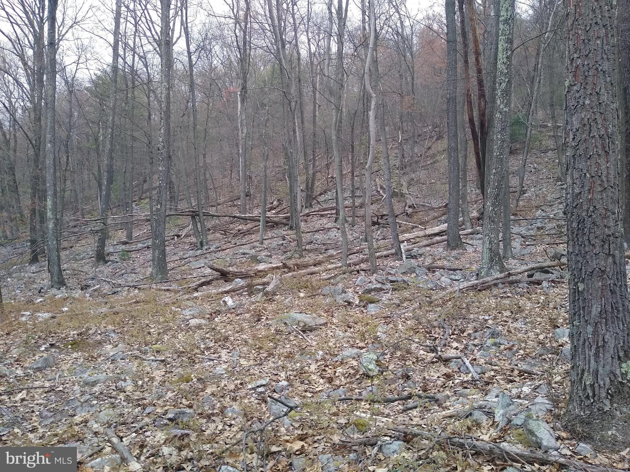 Richfield, Snyder County, PA Undeveloped Land for sale Property ID