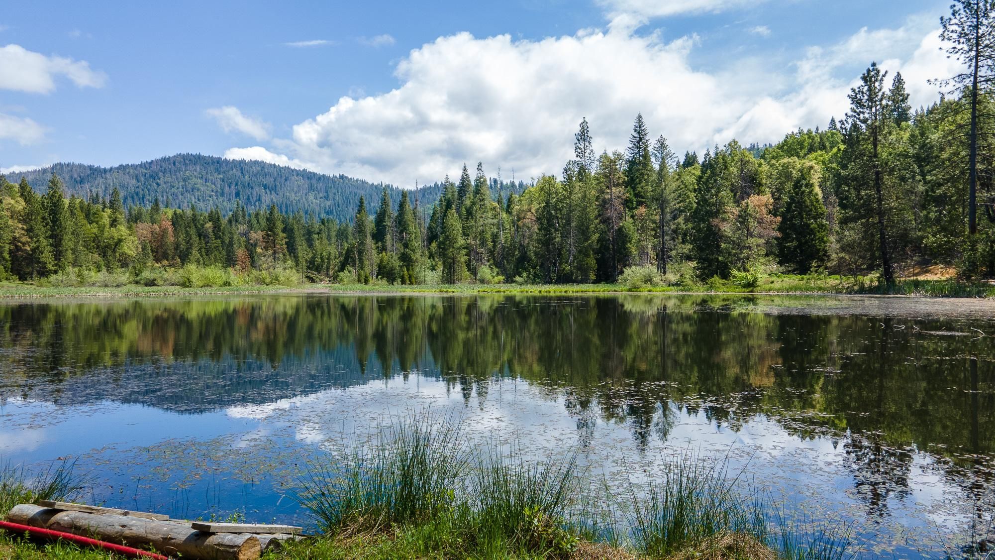 5657 Worman, Ahwahnee, CA 93601 MLS MP21109518 LandWatch