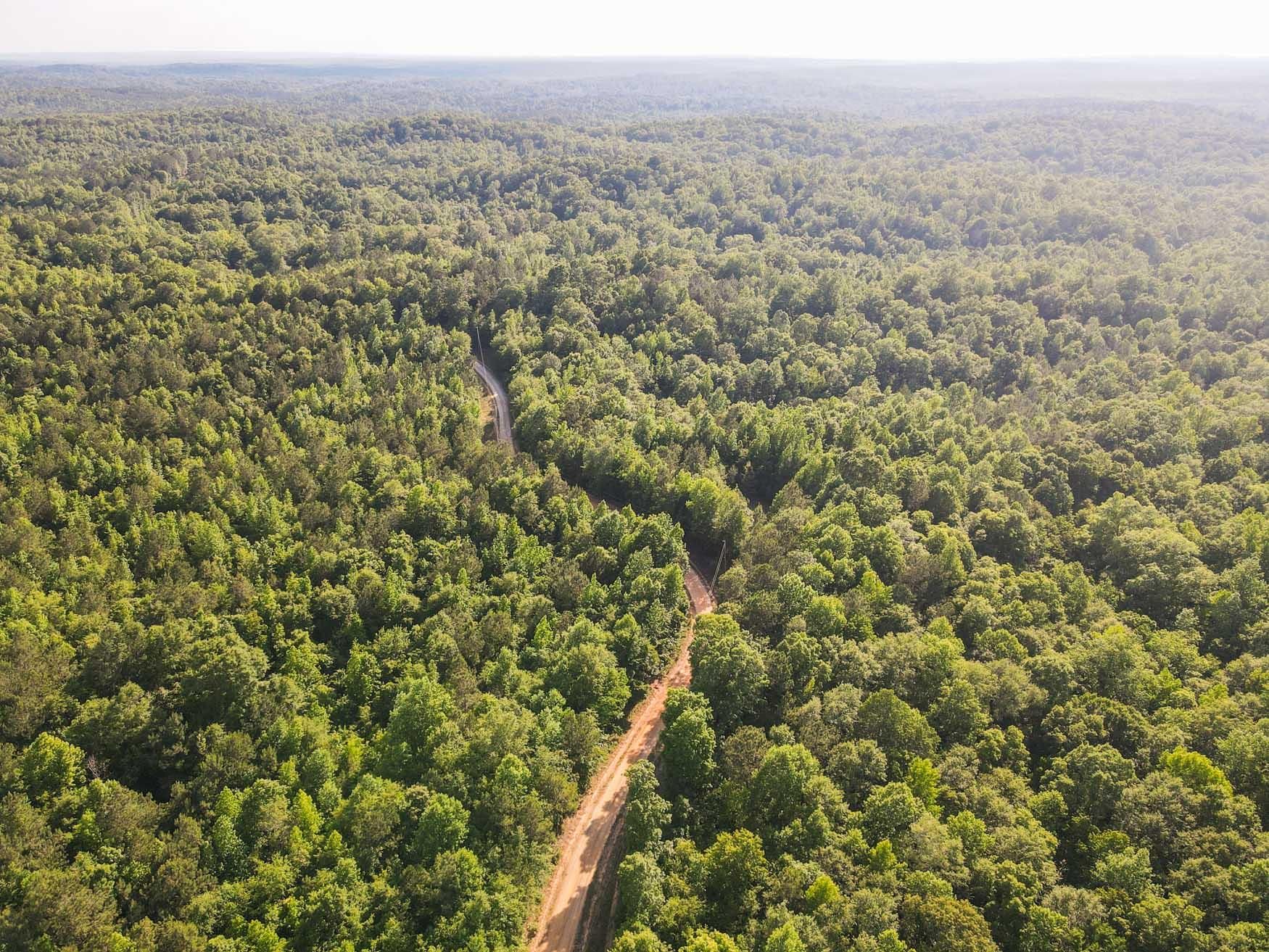 Cusseta, Chattahoochee County, GA Recreational Property, Hunting