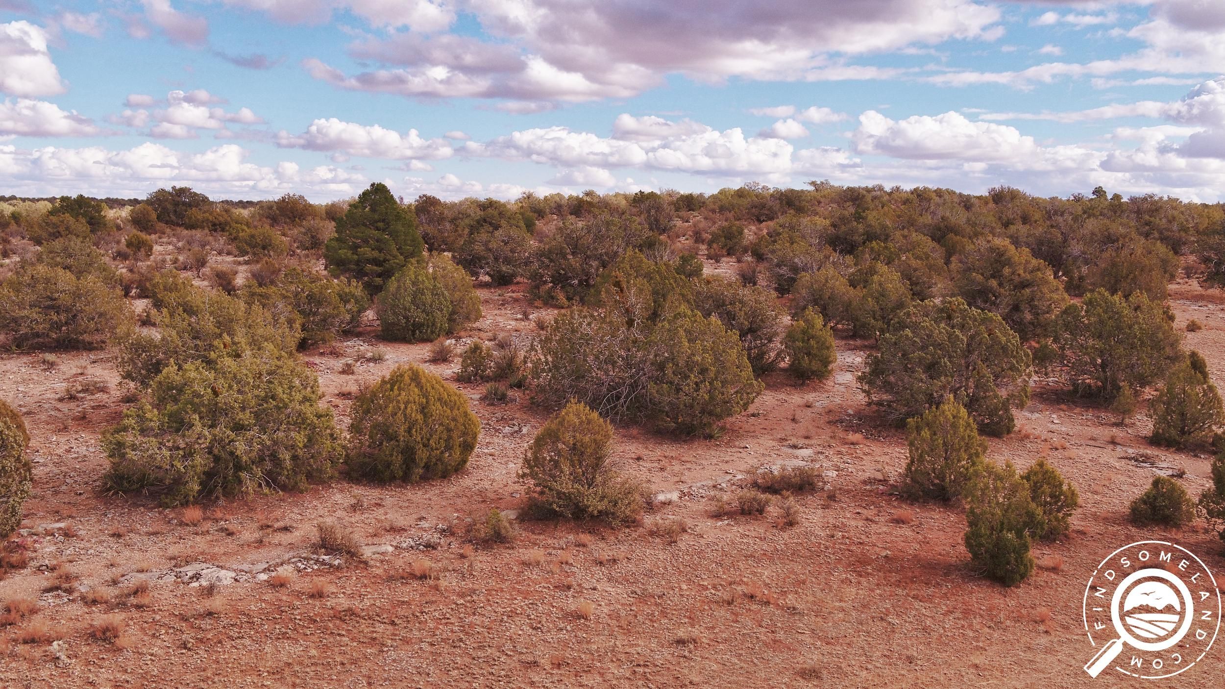 40.1 acres in Peach Springs, AZ, 86434 LandWatch