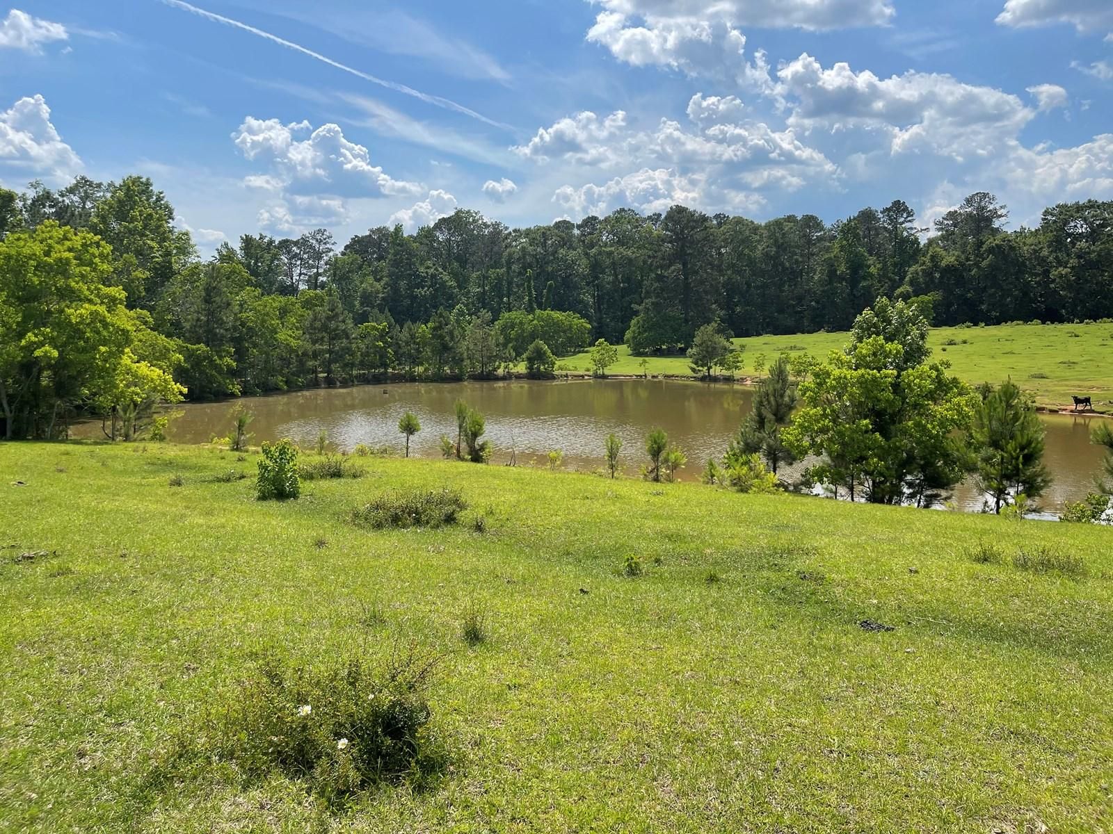 West End Road, Greenville, AL 36037 MLS 0102421118 LandWatch