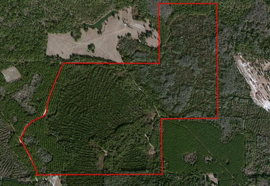 Greenville, Madison County, FL Recreational Property, Timberland