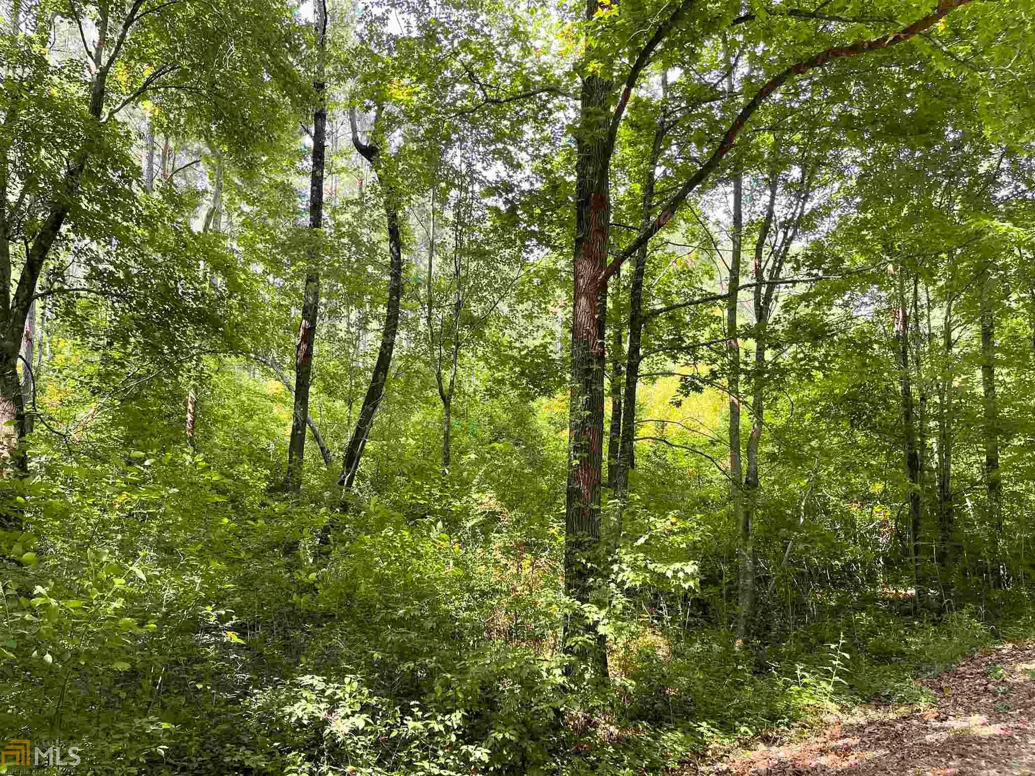 Franklin, Heard County, GA Undeveloped Land for sale Property ID