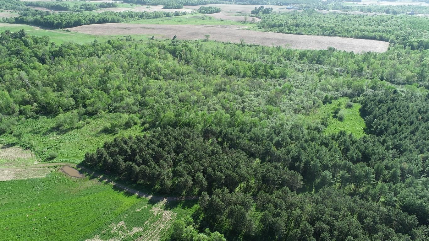 Chetek, Barron County, WI Recreational Property, Hunting Property for