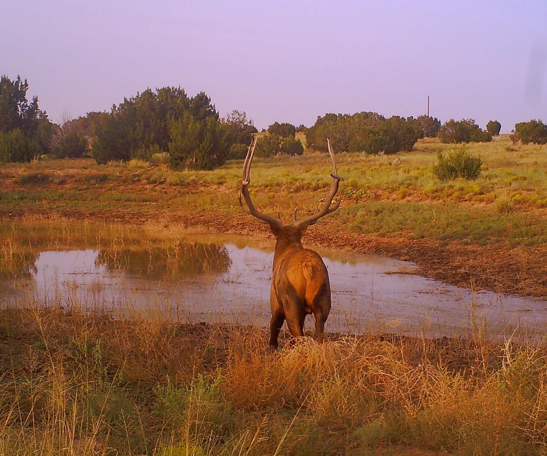 Mountainair, Socorro County, NM Farms and Ranches, Hunting Property