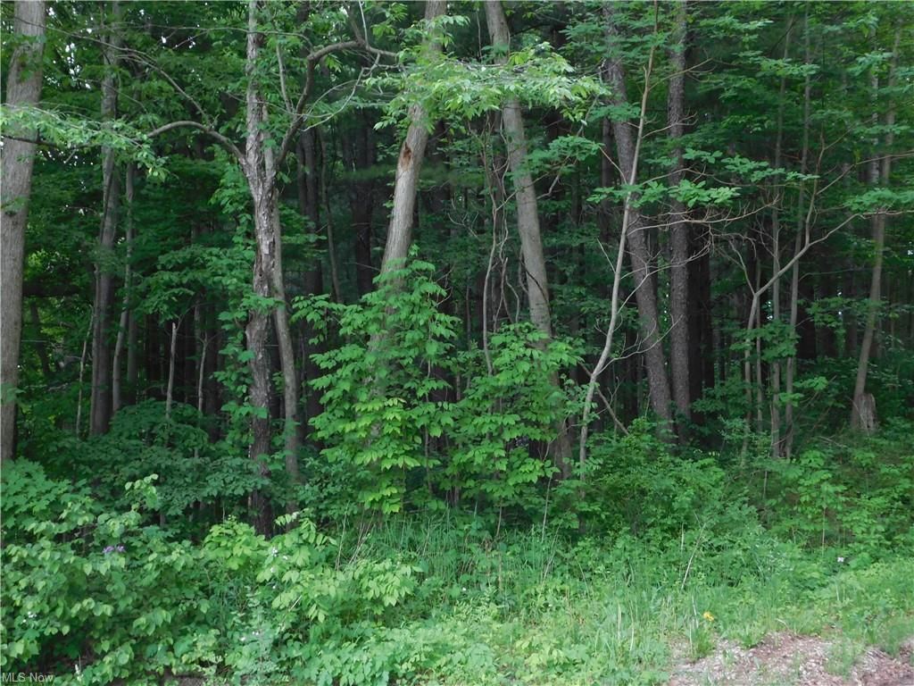 Mansfield, Richland County, OH Undeveloped Land for sale Property ID