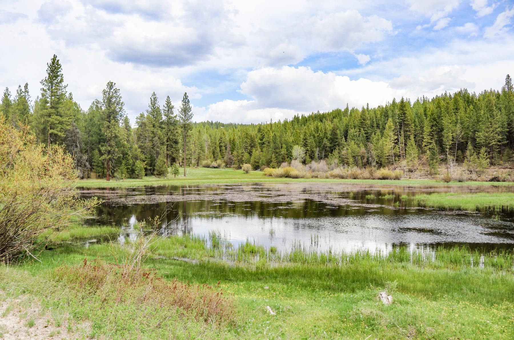 Cascade, Valley County, ID Farms and Ranches, Recreational Property