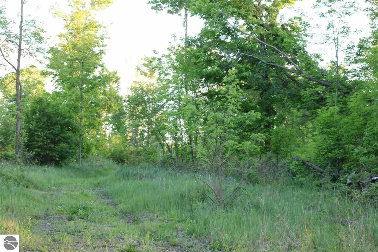 Riverdale, Gratiot County, MI Undeveloped Land, Lakefront Property