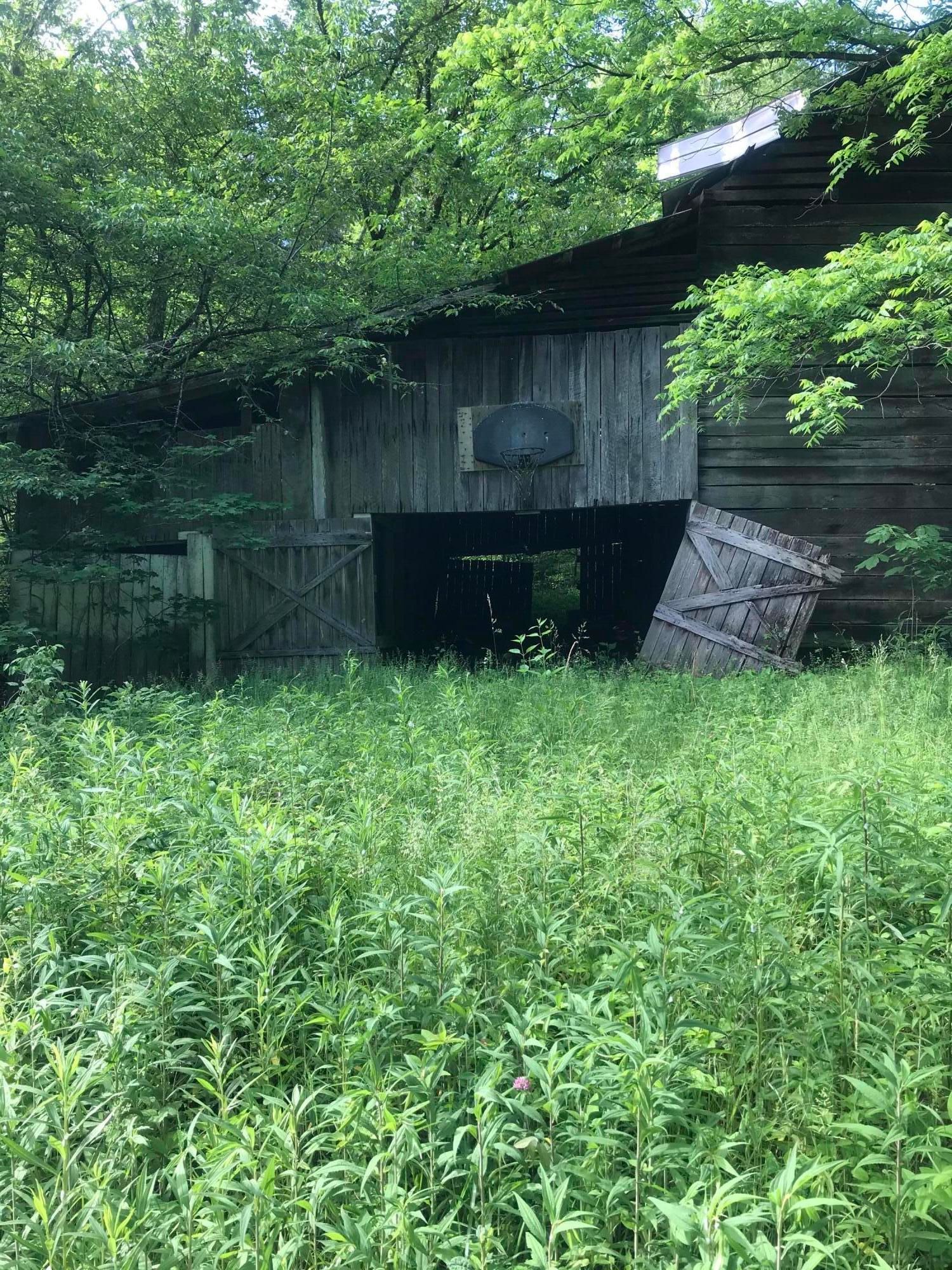 Sneedville, Hancock County, TN Undeveloped Land for sale Property ID