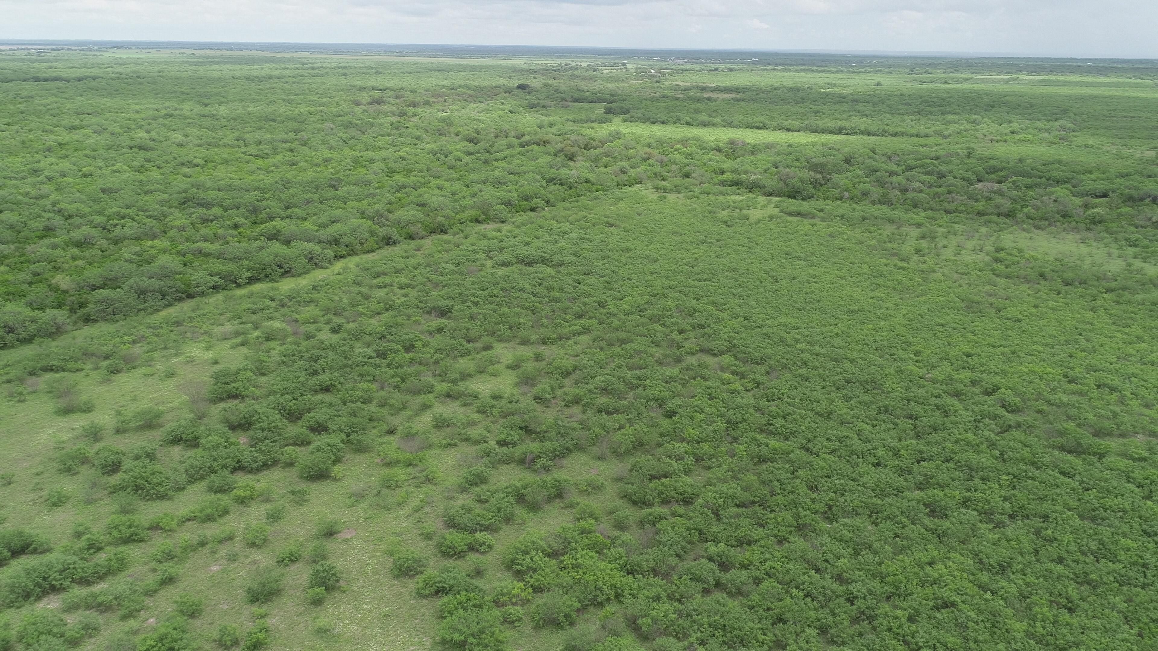 Sandia, Jim Wells County, TX Farms and Ranches, Recreational Property