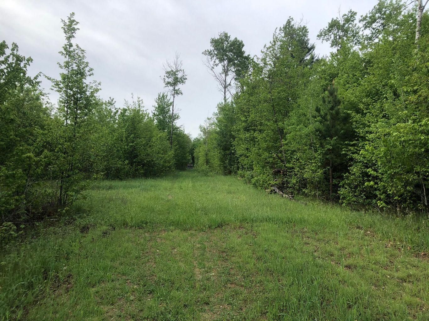 Mancelona, Antrim County, MI Recreational Property, Undeveloped Land