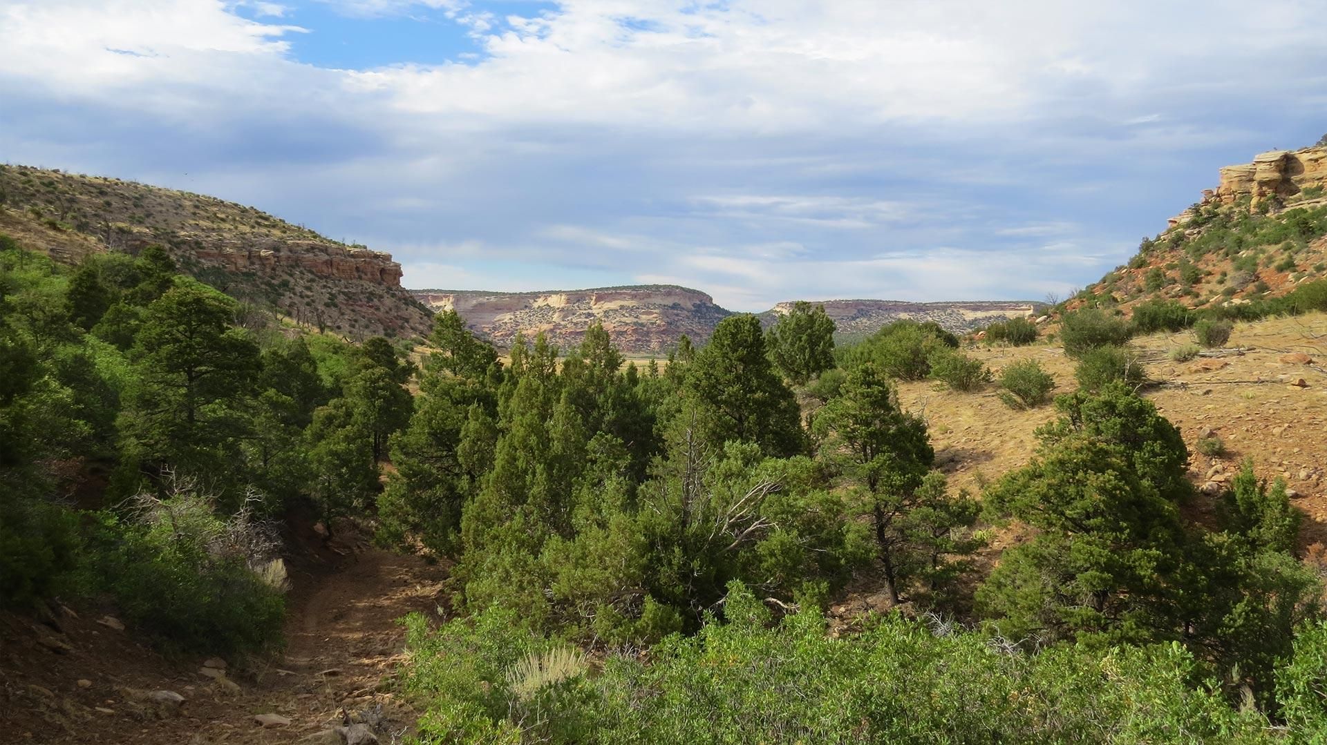 Glade Park, Mesa County, CO Farms and Ranches, Recreational Property