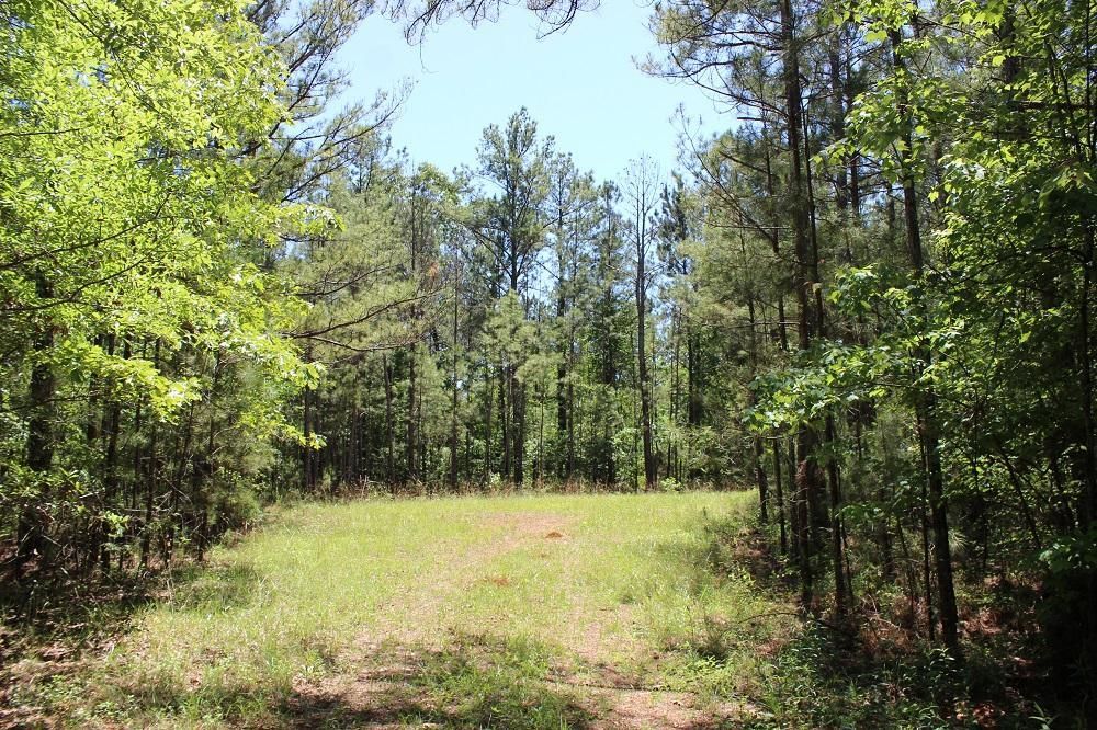 Thomaston, Upson County, GA Recreational Property, Timberland Property, Undeveloped Land for