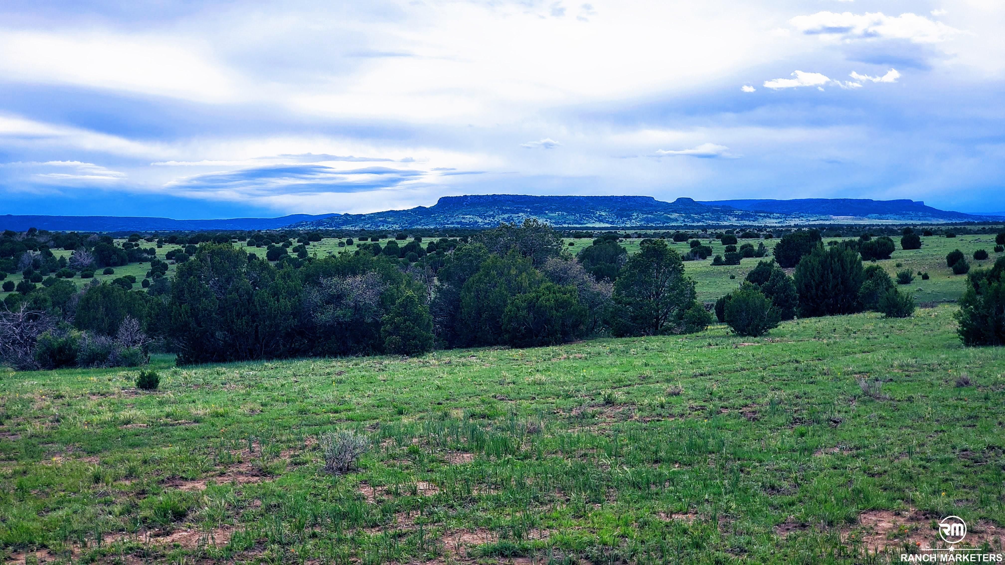 Branson, Las Animas County, CO Farms and Ranches, Hunting Property