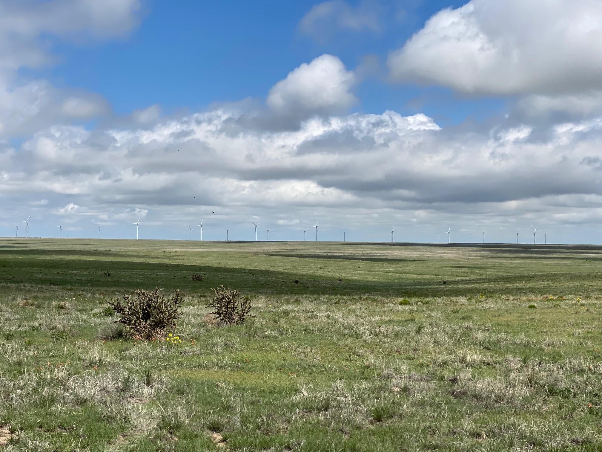 Springfield, Baca County, CO Farms and Ranches, Undeveloped Land