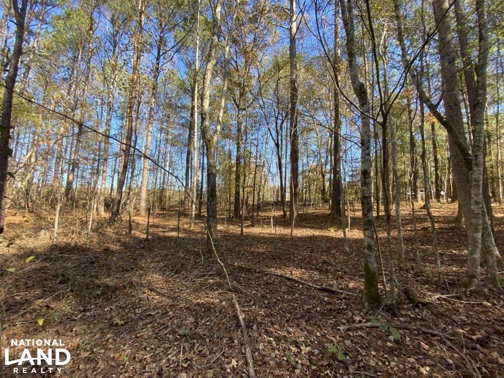 Bankston, Fayette County, AL Recreational Property, Timberland Property
