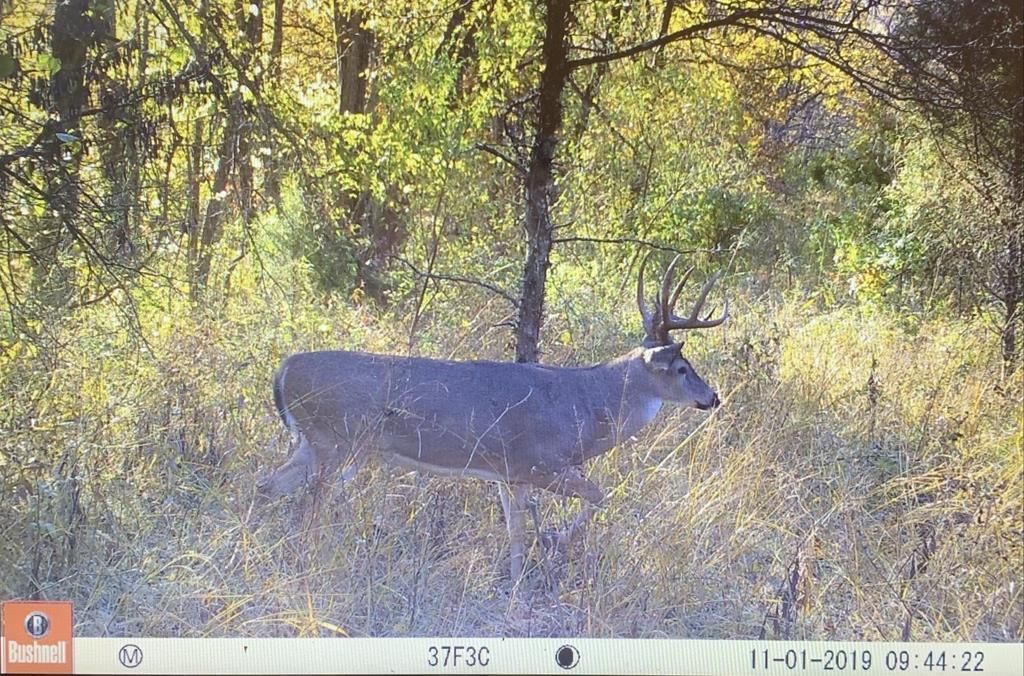 Macedonia, Hamilton County, IL Recreational Property, Timberland