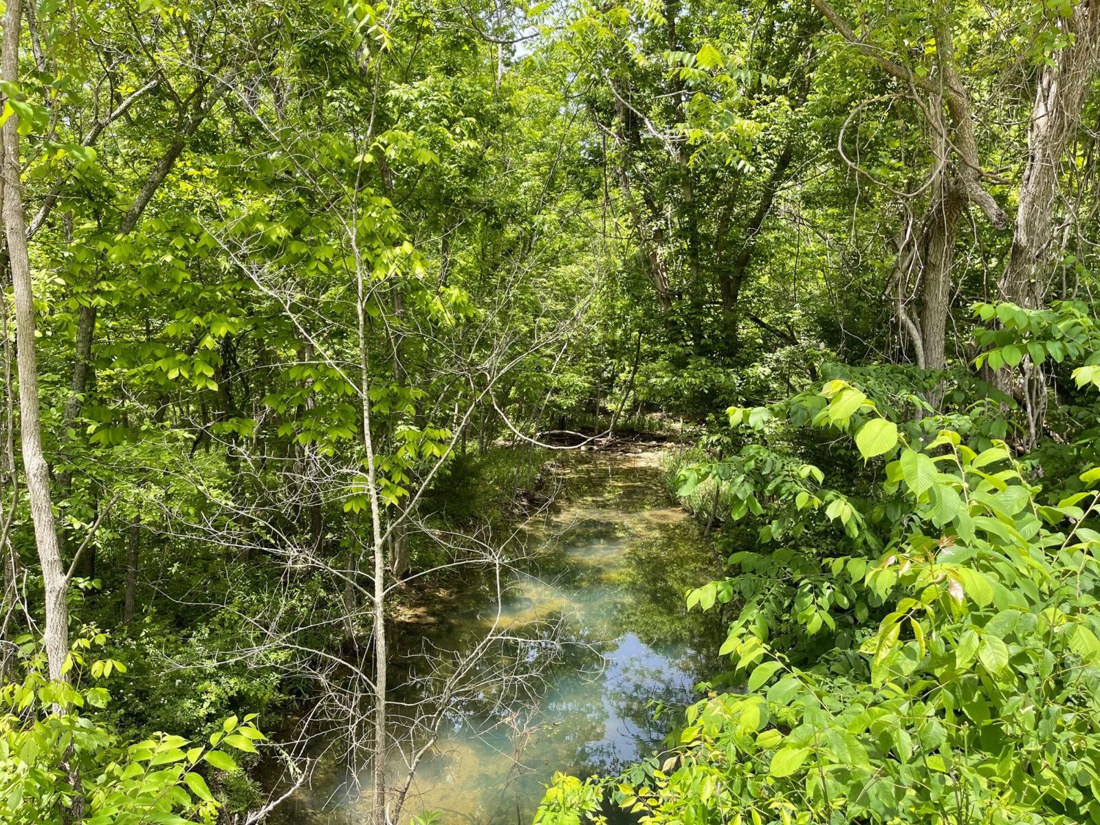 Tunas, Dallas County, MO Recreational Property, Undeveloped Land