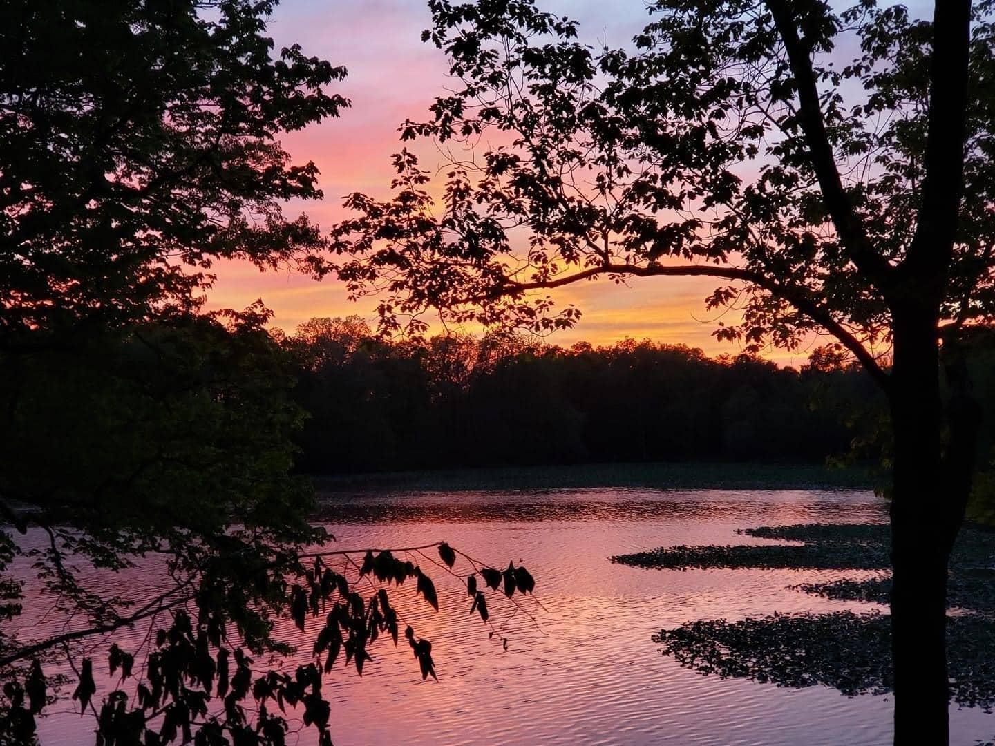 Xenia, Clay County, IL Recreational Property, Timberland Property
