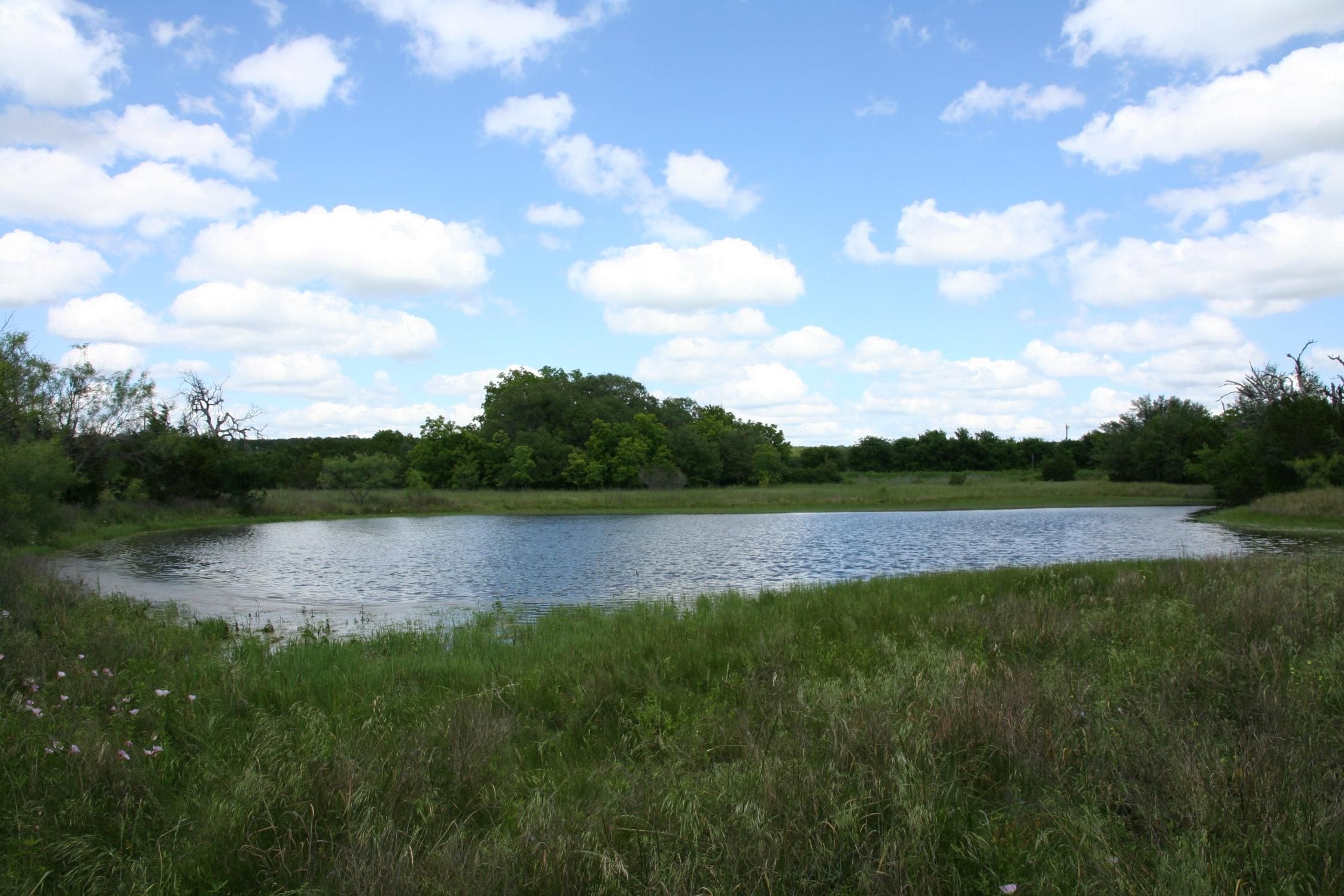 Lometa, Lampasas County, TX Farms and Ranches, Recreational Property, Hunting Property for sale
