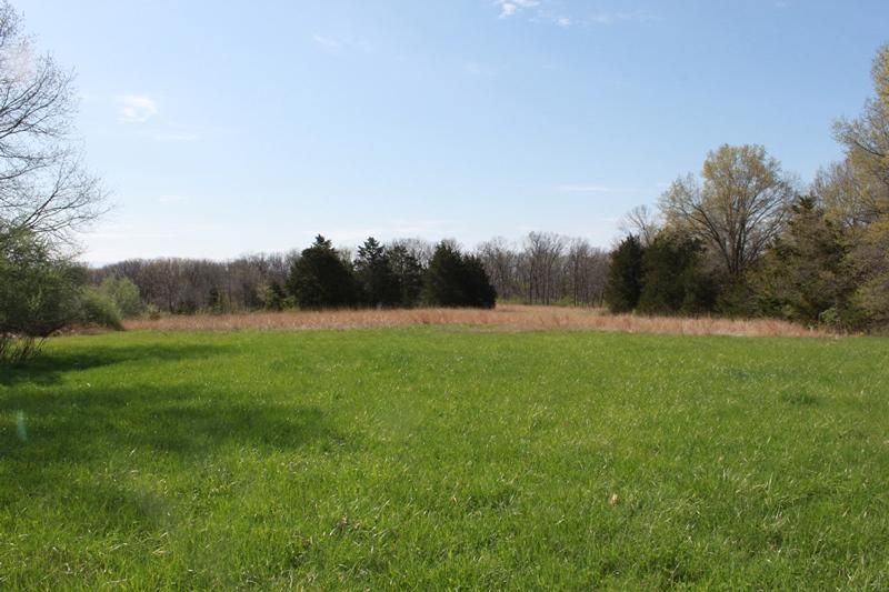 9902 County Road 1044, Auxvasse, MO 65231 LandWatch