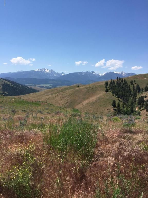 Darby, Ravalli County, MT Undeveloped Land for sale Property ID