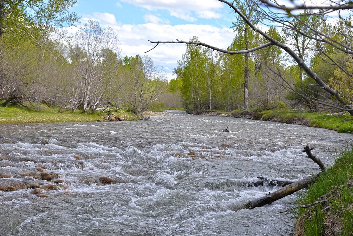 Absarokee, Stillwater County, MT Recreational Property, Undeveloped