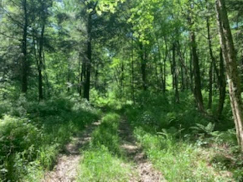 Merrill, Lincoln County, WI Recreational Property, Undeveloped Land