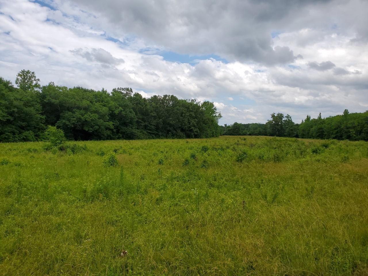 County Road 170, Moulton, AL 35650 MLS 1782915 LandWatch