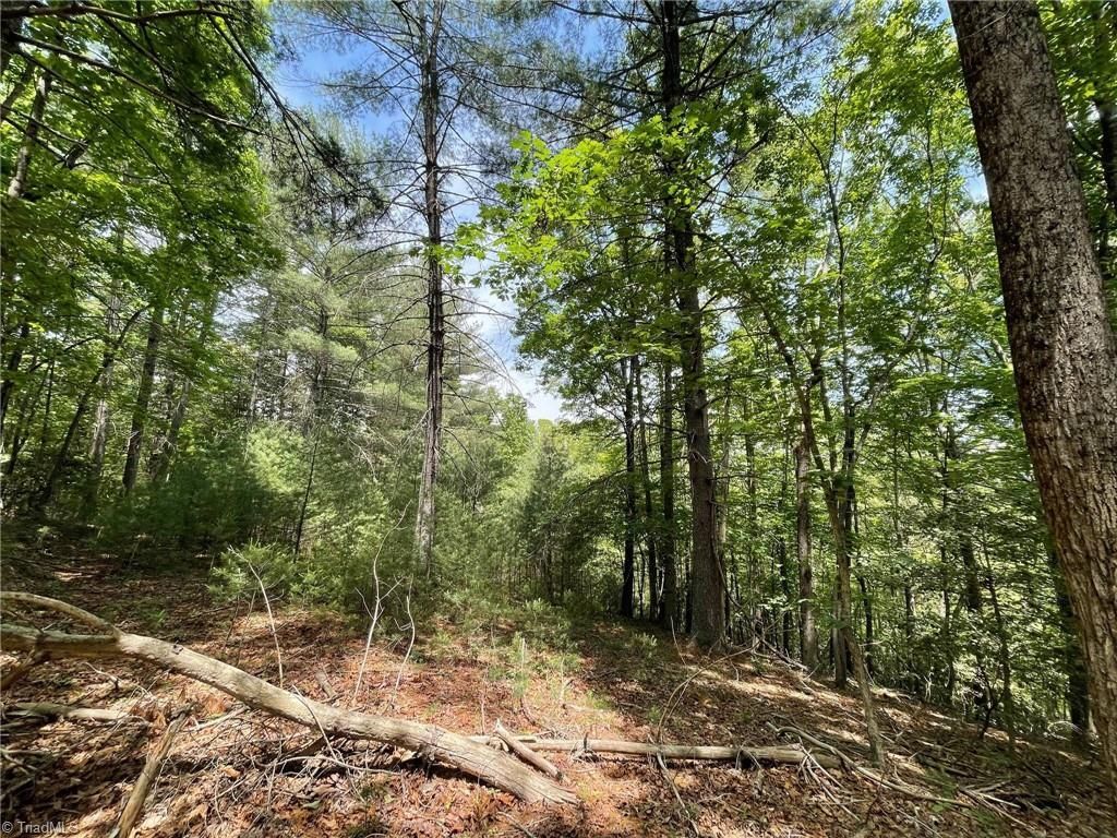 3.7 acres in Hays, NC, 28635 MLS 1025954 LandWatch