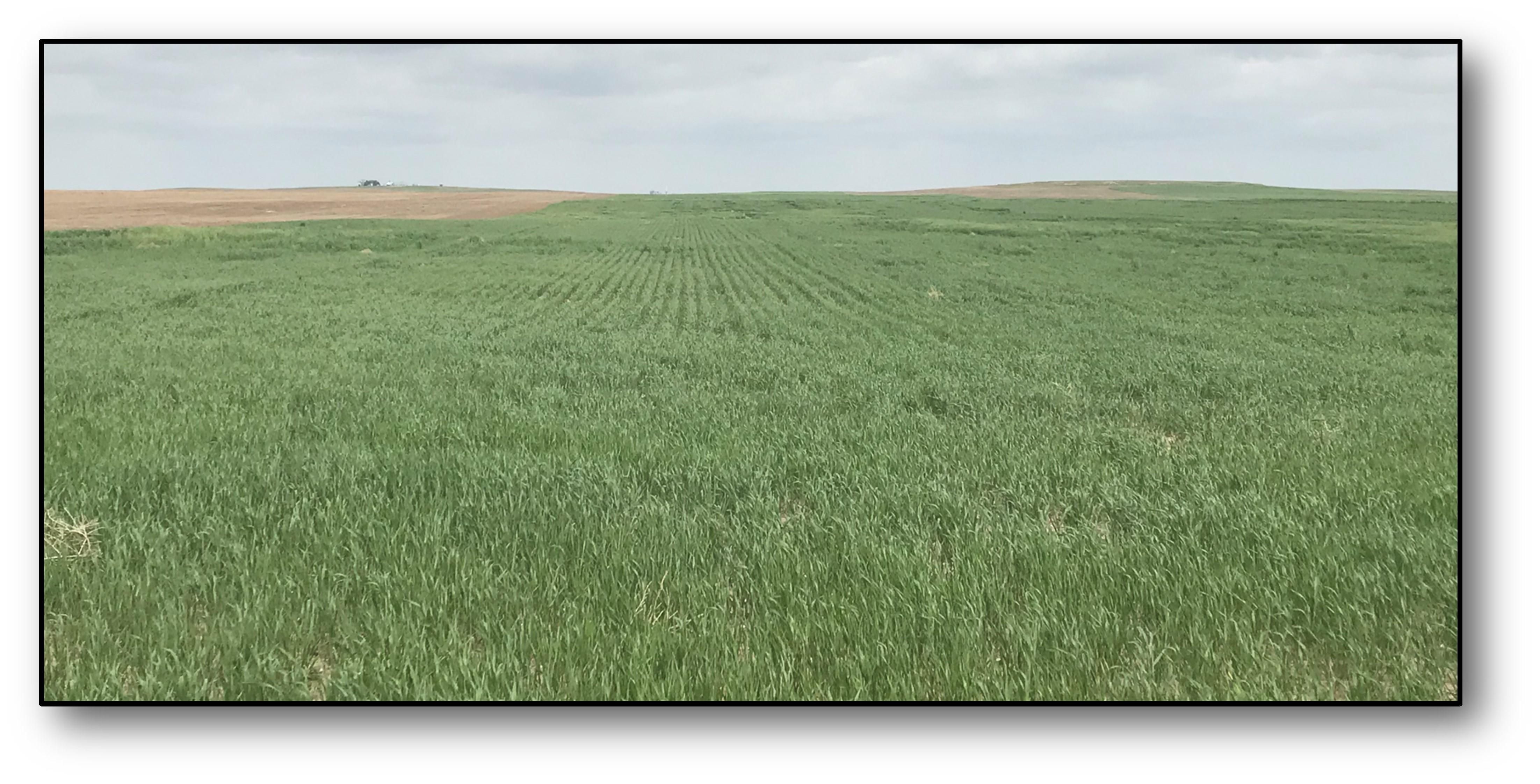 Kimball, Kimball County, NE Farms and Ranches, Undeveloped Land for